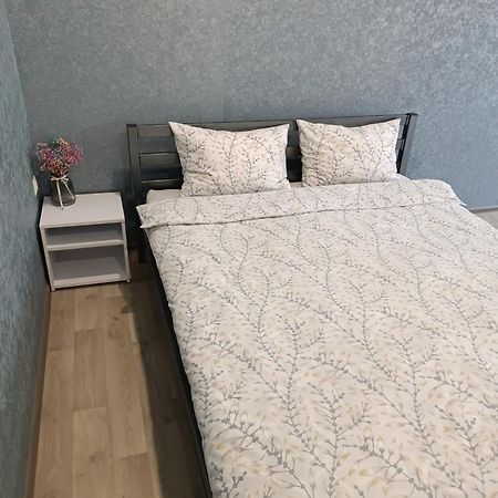 New apartments Уютная студия в центре города Дзержинка Кривой Рог Экстерьер фото