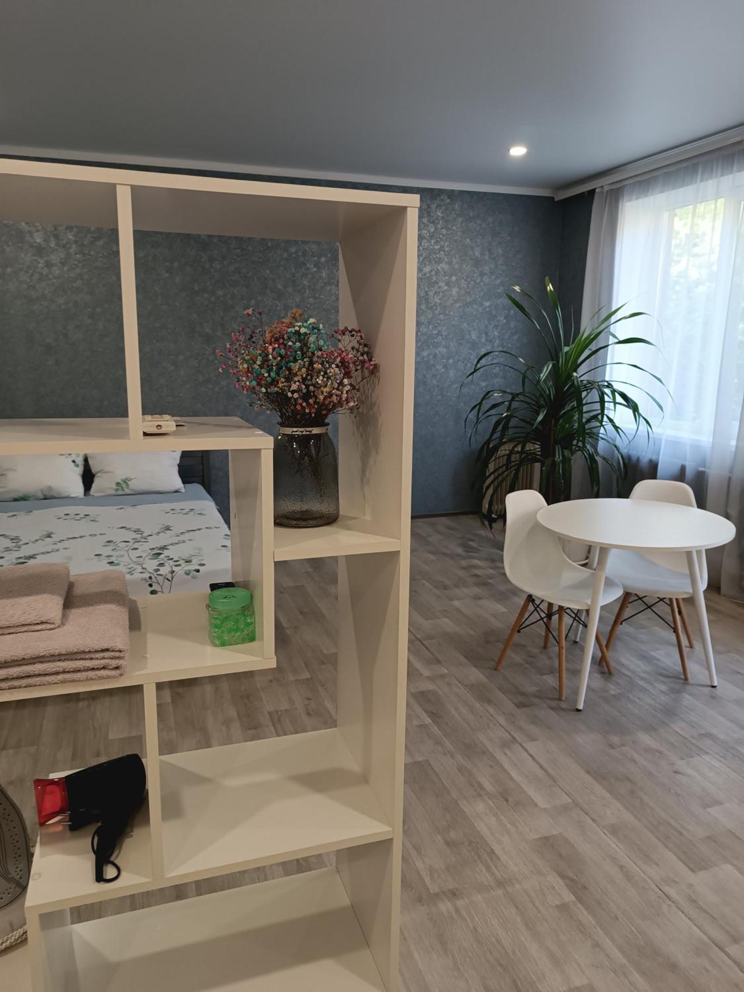 New apartments Уютная студия в центре города Дзержинка Кривой Рог Экстерьер фото